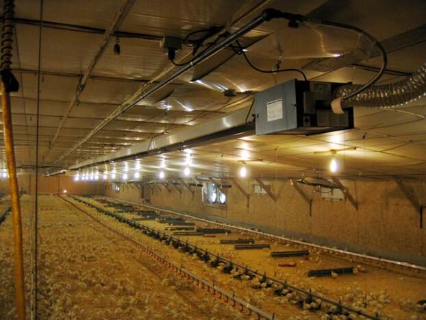 Agricultural Radiant Heating